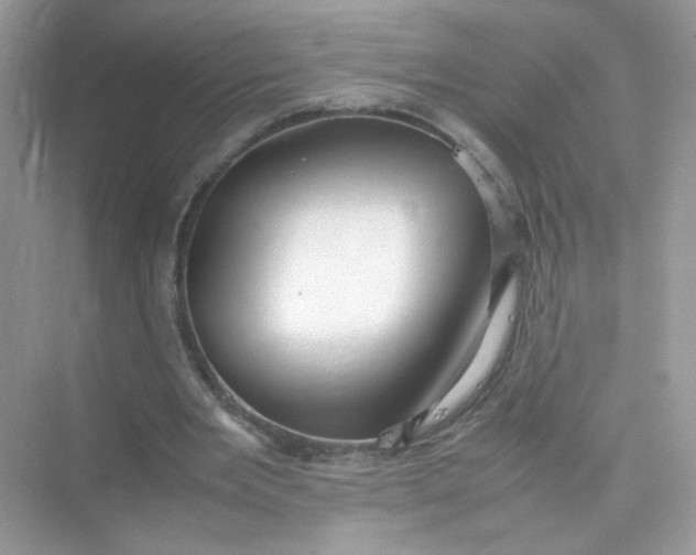 X0000075330485200609292012