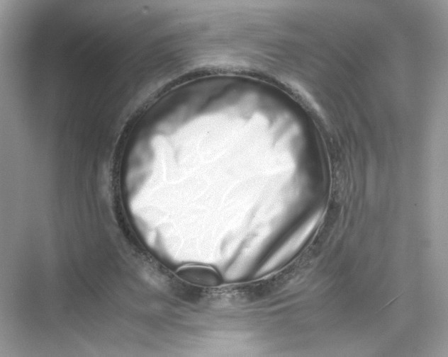 X0000075330487200609292012
