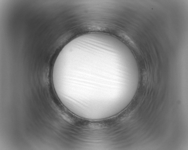 X0000075330490200609292012
