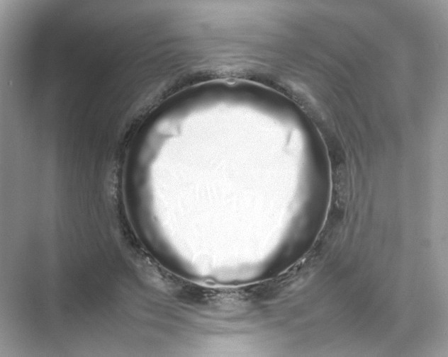X0000075330495200609292012