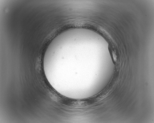 X0000075330497200609292012