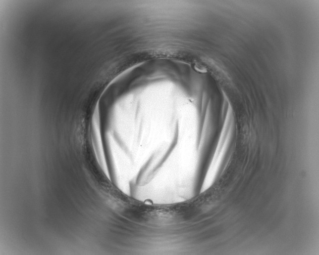 X0000075330498200609292012