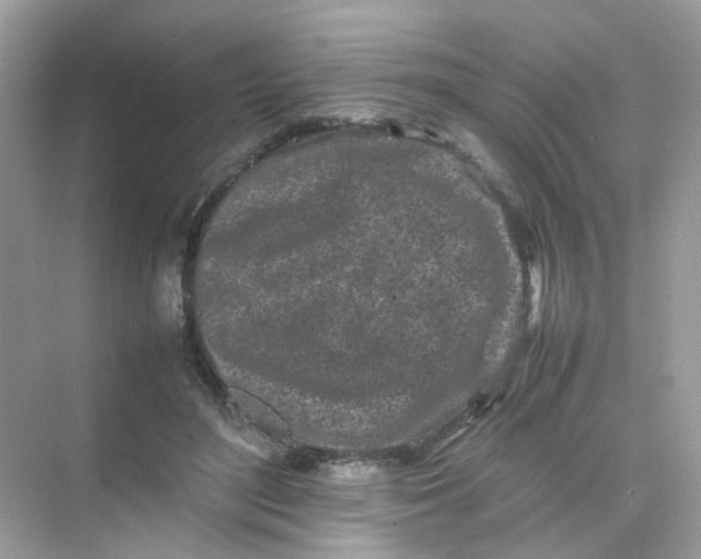 X0000075330500200609292012