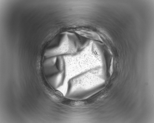 X0000075330501200609292012