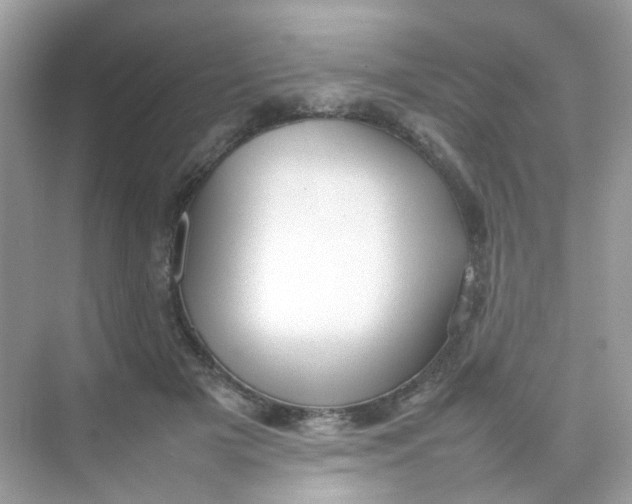 X0000075330505200609292012