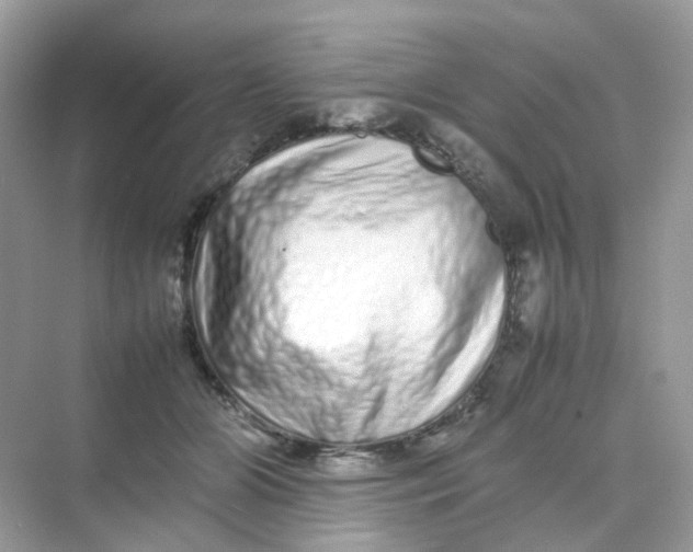 X0000075330510200609292012