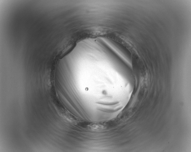 X0000075330512200609292012