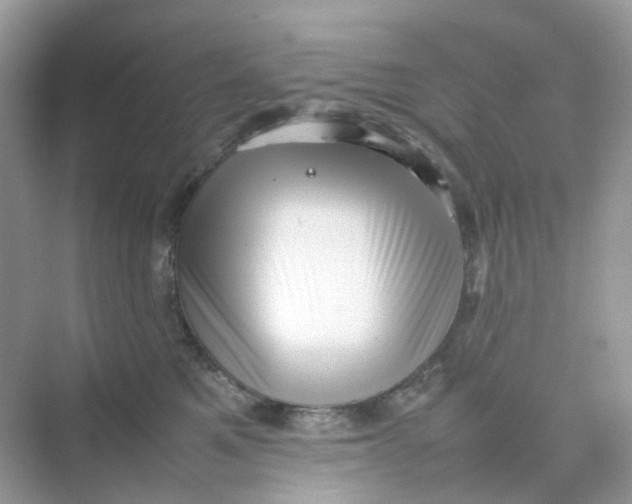 X0000075330521200609292012