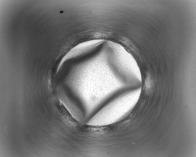 X0000075330524200609292012