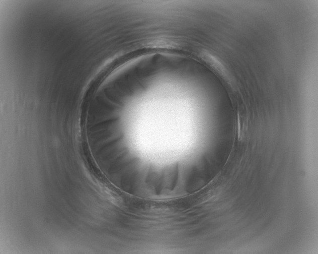 X0000075330531200609292011