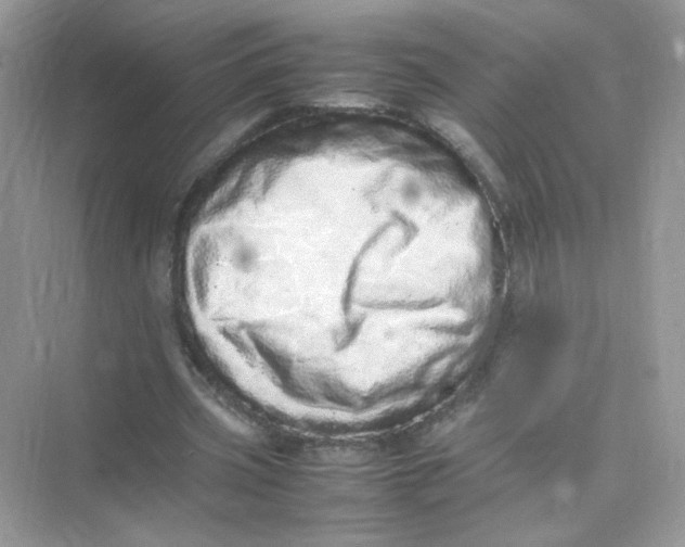 X0000075330533200609292011
