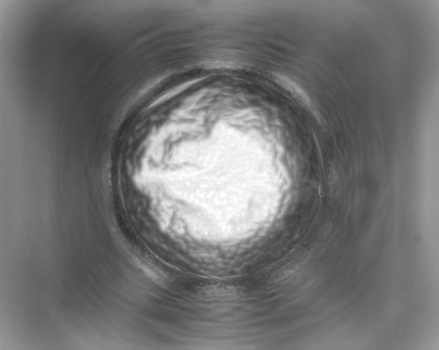 X0000075330535200609292011