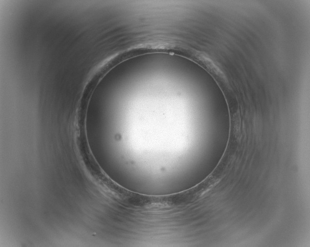 X0000075330536200609292011