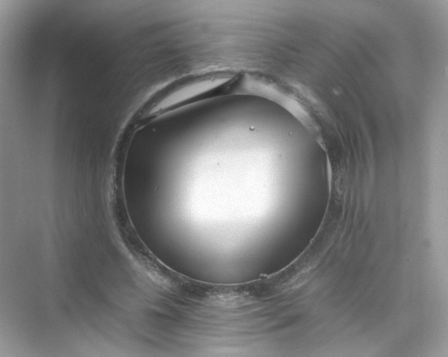 X0000075330540200609292011