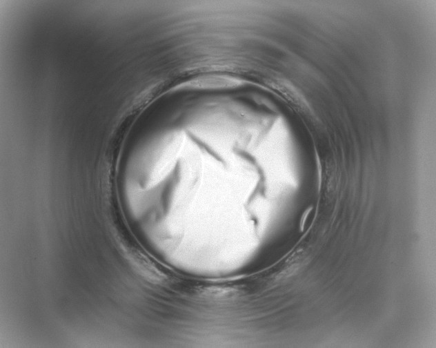 X0000075330542200609292011
