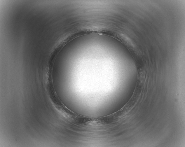 X0000075330544200609292011