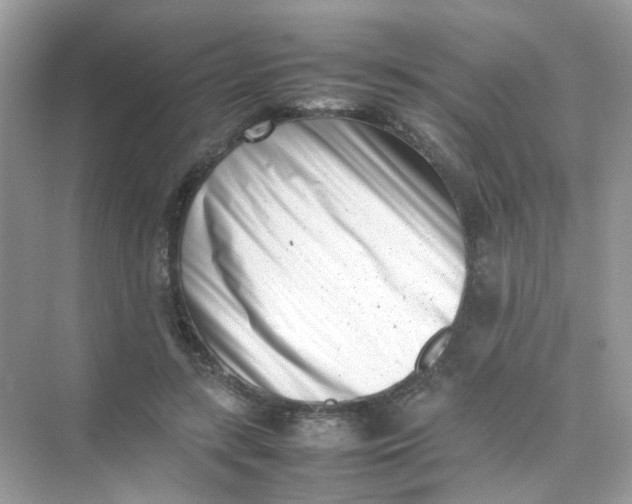 X0000075330547200609292011
