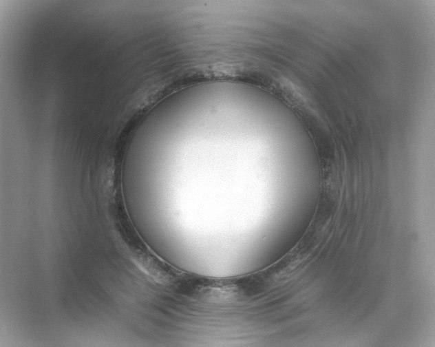X0000075330548200609292011