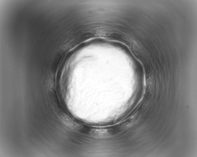 X0000075330554200609292011
