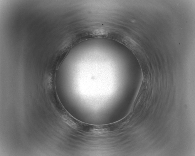 X0000075330556200609292011