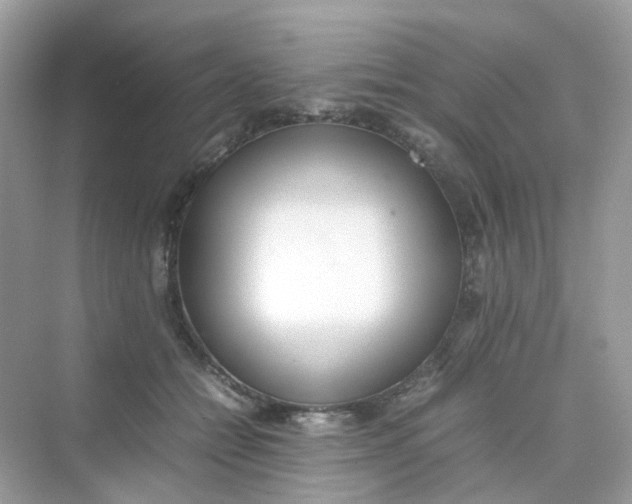X0000075330558200609292011