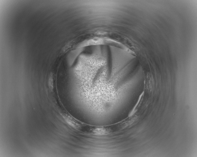 X0000075330562200609292011