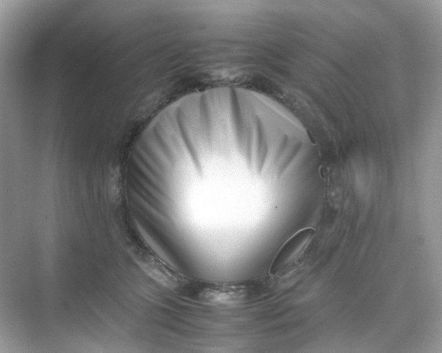 X0000075330563200609292011