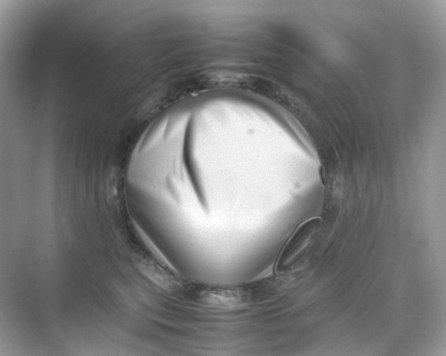 X0000075330567200609292011