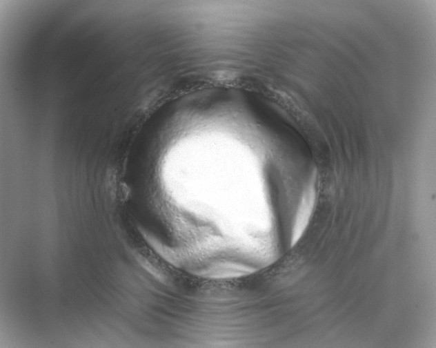X0000075330568200609292011