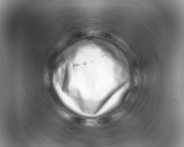 X0000075330573200609292011