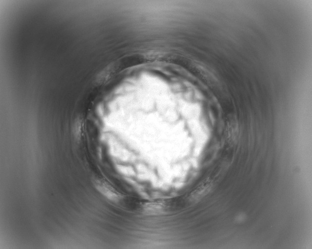 X0000075330574200609292011
