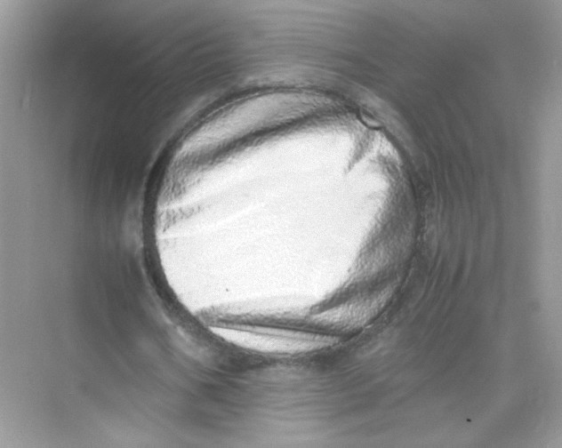X0000075330578200609292011