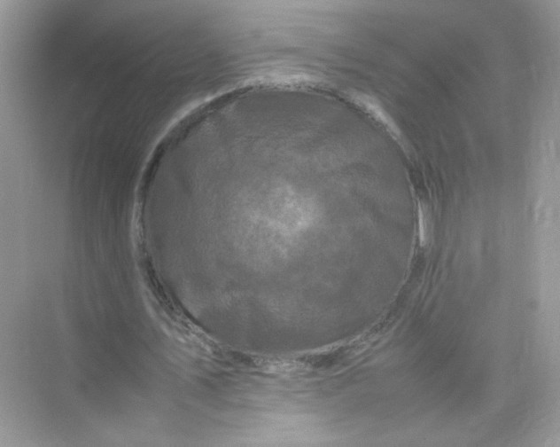 X0000075330579200609292011
