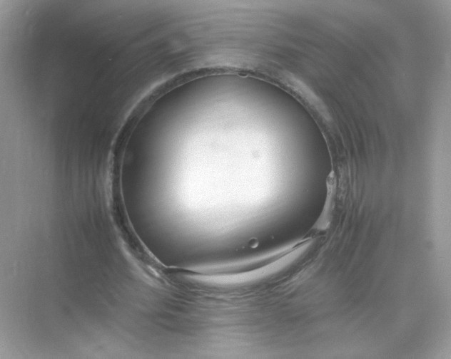X0000075330580200609292011