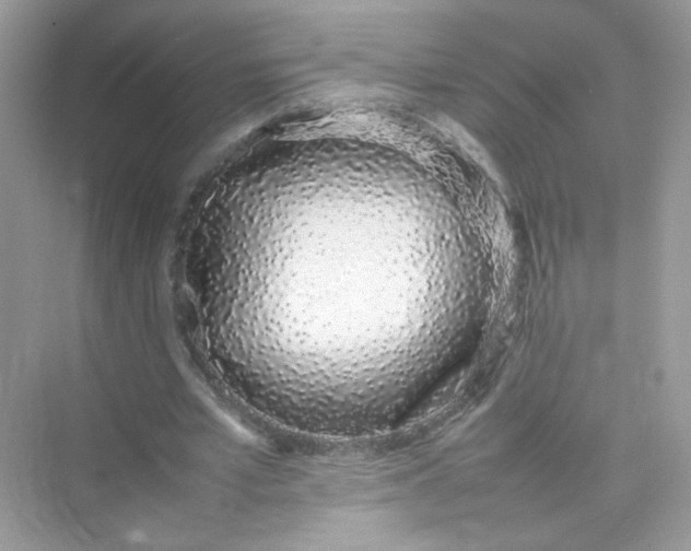 X0000075330581200609292011