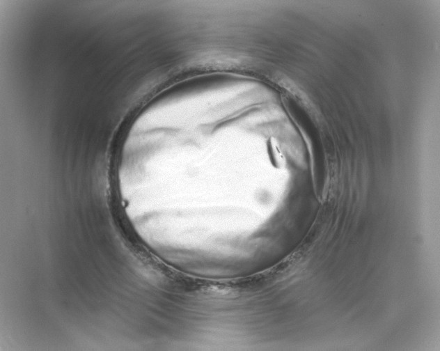X0000075330582200609292011