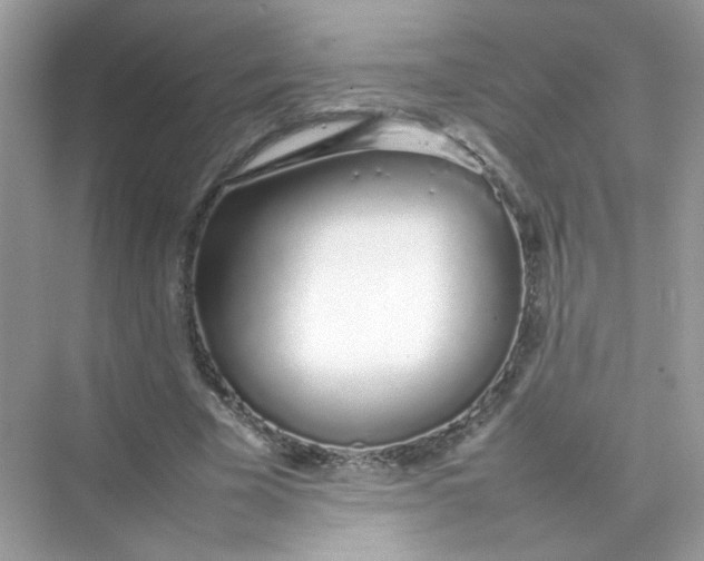 X0000075330585200609292011