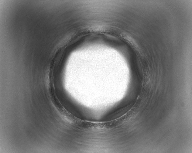 X0000075330586200609292011