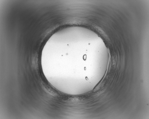 X0000075330588200609292011