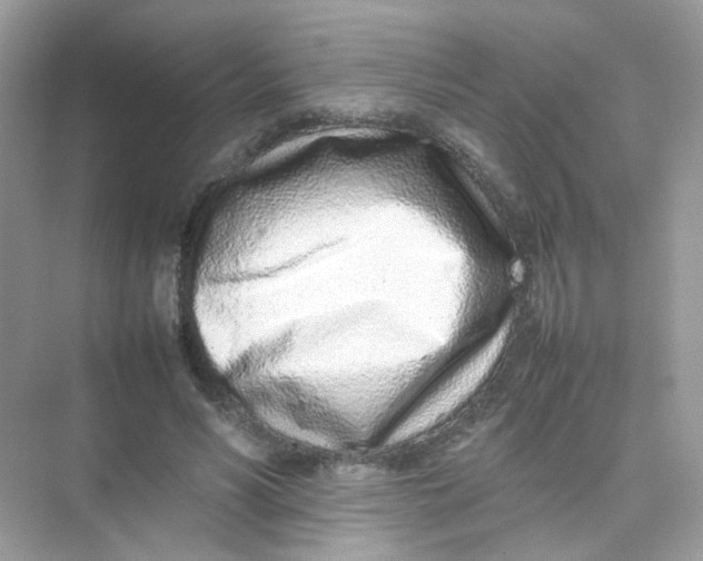 X0000075330590200609292010