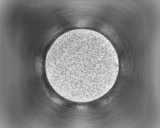 X0000075330592200609292010