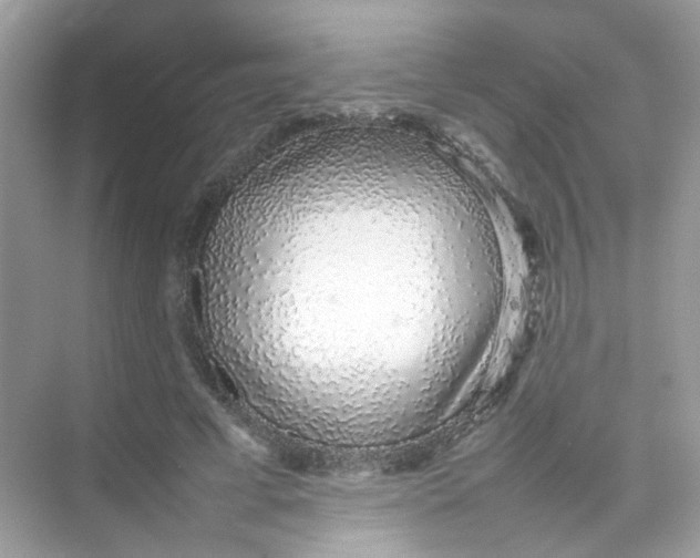 X0000075330593200609292010