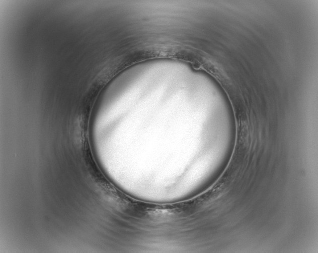 X0000075330594200609292010