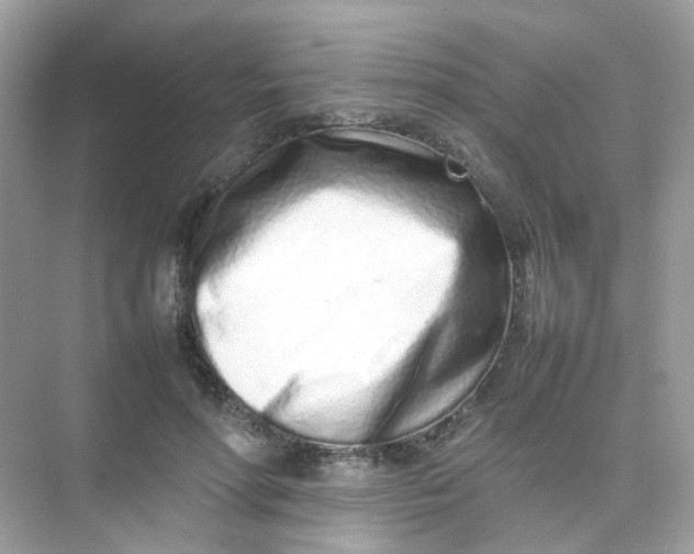 X0000075330598200609292010