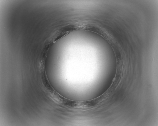 X0000075330601200609292010