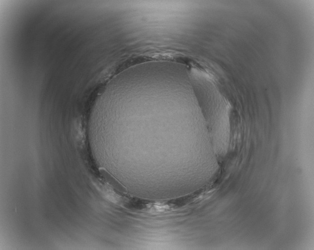 X0000075330607200609292010