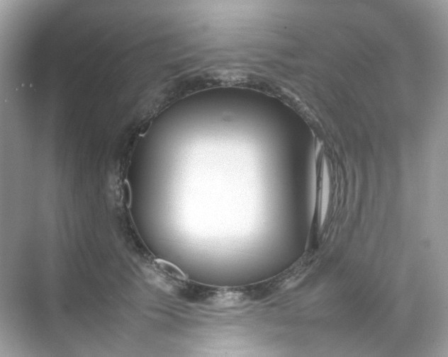 X0000075330609200609292010