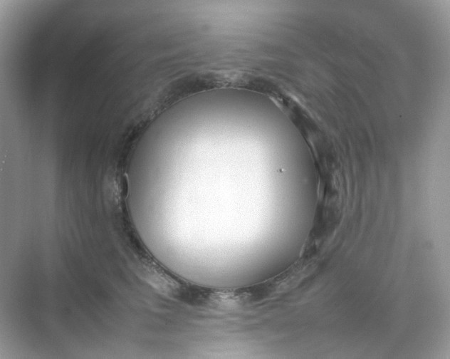 X0000075330613200609292010