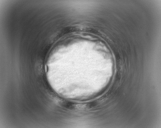 X0000075330615200609292010