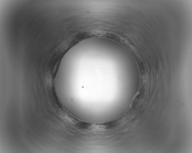 X0000075330617200609292010